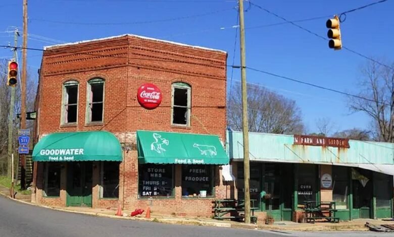 85 Smith St Goodwater Alabama 35072