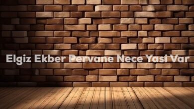 Elgiz Ekber Pervane Nece Yasi Var